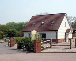 Kangaroo HQ