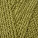 Stylecraft Special DK - Meadow (1065)