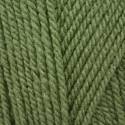 Stylecraft Special DK - Cypress (1824)