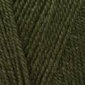 Stylecraft Life DK - Olive (2302)