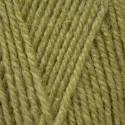 Stylecraft Life DK - Fern (2311)