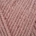 Stylecraft Special Aran - Pale Rose (1080)