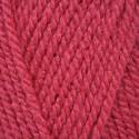 Stylecraft Special Aran - Pomegranate (1083)