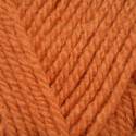 Stylecraft Special Aran - Spice (1711)