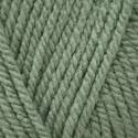 Stylecraft Special Aran - Sage (1725)