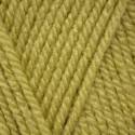 Stylecraft Special Aran - Pistachio (1822)