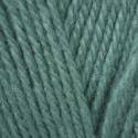 Stylecraft Life Aran - Sea Green (2457)