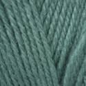 Stylecraft Life Aran - Sea Green (2457)