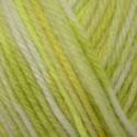 Sirdar Snuggly Baby Crofter DK - Seth (213)