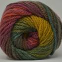 Hayfield Spirit Chunky - Autumn (415)