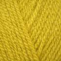 Stylecraft Special Aran - Mustard (1823)